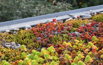 the cost of Barrowby green roof installation