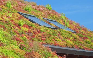 Barrowby living roof systems