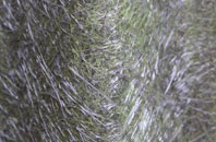 Barrowby fibreglass roof work